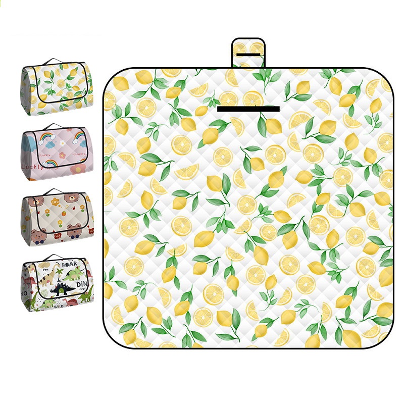 150*200CM Portable Picnic Mat  - Outdoor Camping Rugs review and price